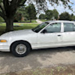 Meet your Posher, Jackson